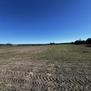 View of nature featuring a rural view