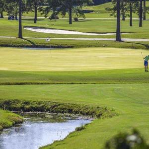Photo #5 of 820 Bentley Ln., North Myrtle Beach, SC 1.7 acres