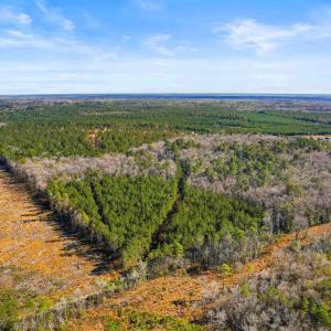 Photo #17 of 5.47 Acs Kates Bay Hwy., Conway, SC 5.5 acres