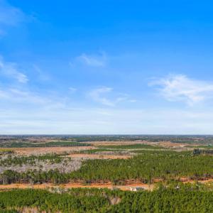 Photo #10 of 5.47 Acs Kates Bay Hwy., Conway, SC 5.5 acres