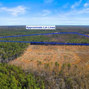 Photo #16 of 5.47 Acs Kates Bay Hwy., Conway, SC 5.5 acres