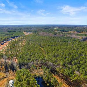 Photo #9 of 6.97 Acs Kates Bay Hwy., Conway, SC 7.0 acres