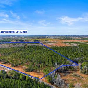 Photo #3 of 6.97 Acs Kates Bay Hwy., Conway, SC 7.0 acres