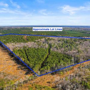 Photo #14 of 6.97 Acs Kates Bay Hwy., Conway, SC 7.0 acres