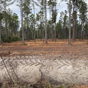 Photo #17 of 6.97 Acs Kates Bay Hwy., Conway, SC 7.0 acres