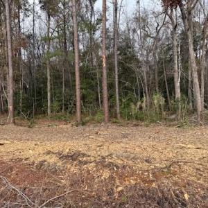 Photo #19 of 6.97 Acs Kates Bay Hwy., Conway, SC 7.0 acres