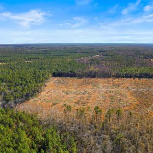 Photo #11 of 6.97 Acs Kates Bay Hwy., Conway, SC 7.0 acres