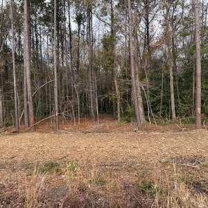 Photo #20 of 6.97 Acs Kates Bay Hwy., Conway, SC 7.0 acres