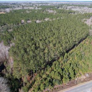 Photo #2 of 34 Acres - TBD Easler Hwy, Greeleyville, SC 34.1 acres