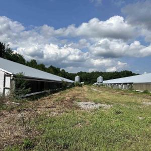 Photo #11 of 100 Lulu Ln., Bennettsville, SC 14.2 acres