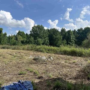 Photo #9 of 100 Lulu Ln., Bennettsville, SC 14.2 acres