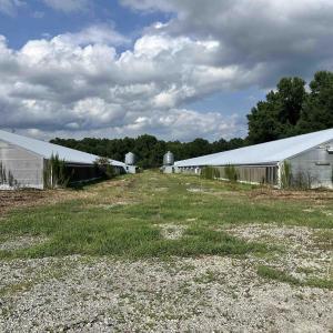 Photo #20 of 100 Lulu Ln., Bennettsville, SC 14.2 acres