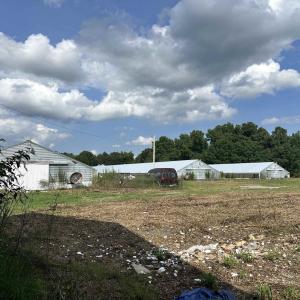 Photo #10 of 100 Lulu Ln., Bennettsville, SC 14.2 acres