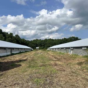 Photo #16 of 100 Lulu Ln., Bennettsville, SC 14.2 acres