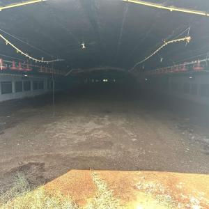 Photo #6 of 100 Lulu Ln., Bennettsville, SC 14.2 acres