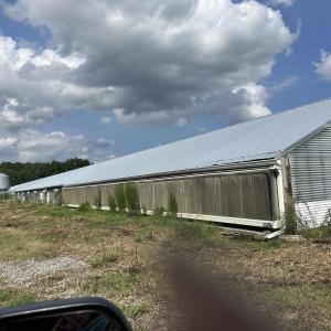 Photo #17 of 100 Lulu Ln., Bennettsville, SC 14.2 acres