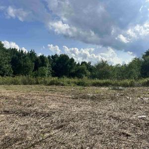 Photo #1 of 100 Lulu Ln., Bennettsville, SC 14.2 acres