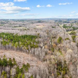 13-web-or-mls-DJI_0216