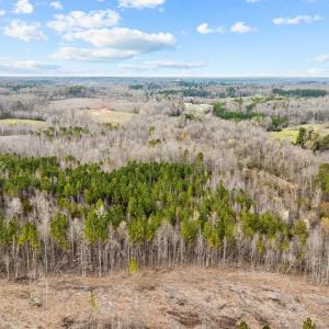 10-web-or-mls-DJI_0217