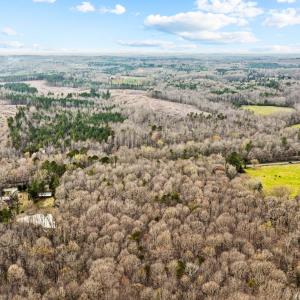 11-web-or-mls-DJI_0213