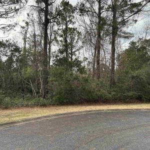 Photo #1 of Lot 4 Josie Way, Georgetown, SC 0.6 acres