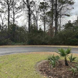 Photo #2 of Lot 4 Josie Way, Georgetown, SC 0.6 acres
