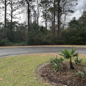Photo #3 of Lot 4 Josie Way, Georgetown, SC 0.6 acres