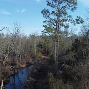 View of nature