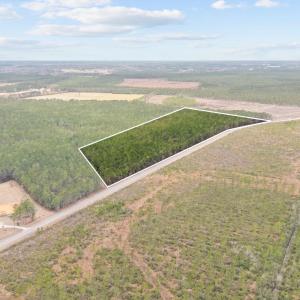 Birds eye view of property with a rural view
