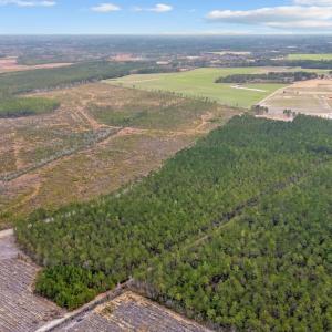 Birds eye view of property featuring a rural view