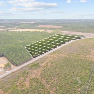 Drone / aerial view featuring a rural view