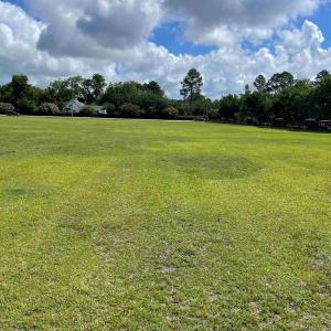 Photo #4 of 1714 Second Loop Rd., Florence, SC 4.0 acres