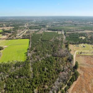 Photo #10 of TBD Daphane Dr., Loris, SC 30.1 acres