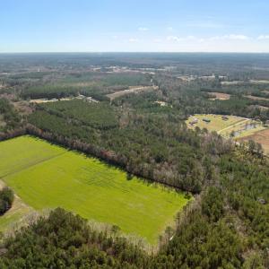 Photo #8 of TBD Daphane Dr., Loris, SC 30.1 acres