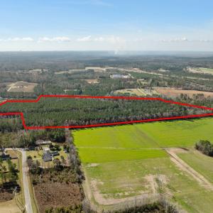 Photo #5 of TBD Daphane Dr., Loris, SC 30.1 acres