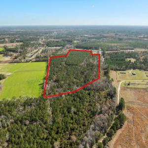 Photo #9 of TBD Daphane Dr., Loris, SC 30.1 acres