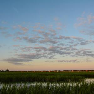 Photo #24 of Lot 7 Ocean Green Dr., Georgetown, SC 0.8 acres