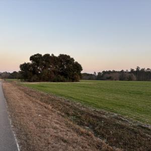 View of street with a rural view