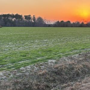 Nature at dusk featuring a rural view
