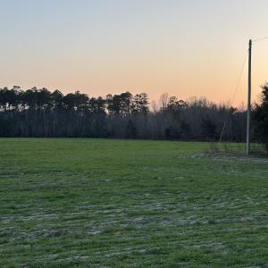 View of yard at dusk