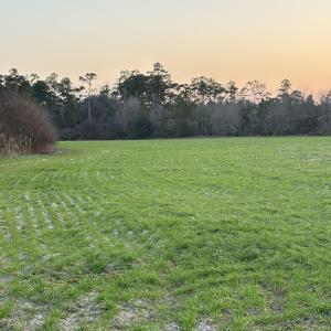 Yard at dusk featuring a rural view
