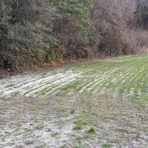 View of yard featuring a rural view