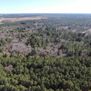 Bird's eye view featuring a forest view
