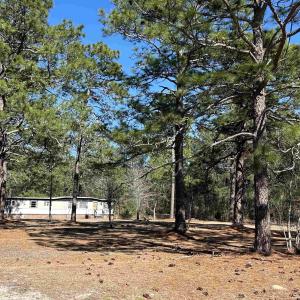 View of yard with a view of trees
