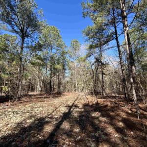 View of local wilderness featuring a wooded view