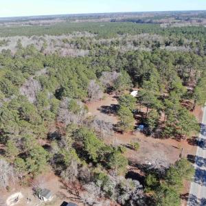 Bird's eye view featuring a forest view