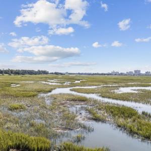 Photo #14 of 4728 Bucks Bluff Dr., North Myrtle Beach, SC 0.9 acres