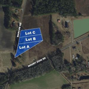Photo #2 of 750 Marcum Dr, Loris, SC 1.0 acres
