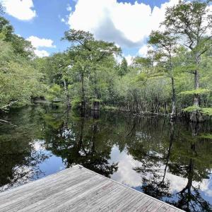 Photo #8 of 286 Rivers Edge Dr., Conway, SC 0.3 acres