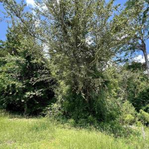 Photo #2 of 286 Rivers Edge Dr., Conway, SC 0.3 acres